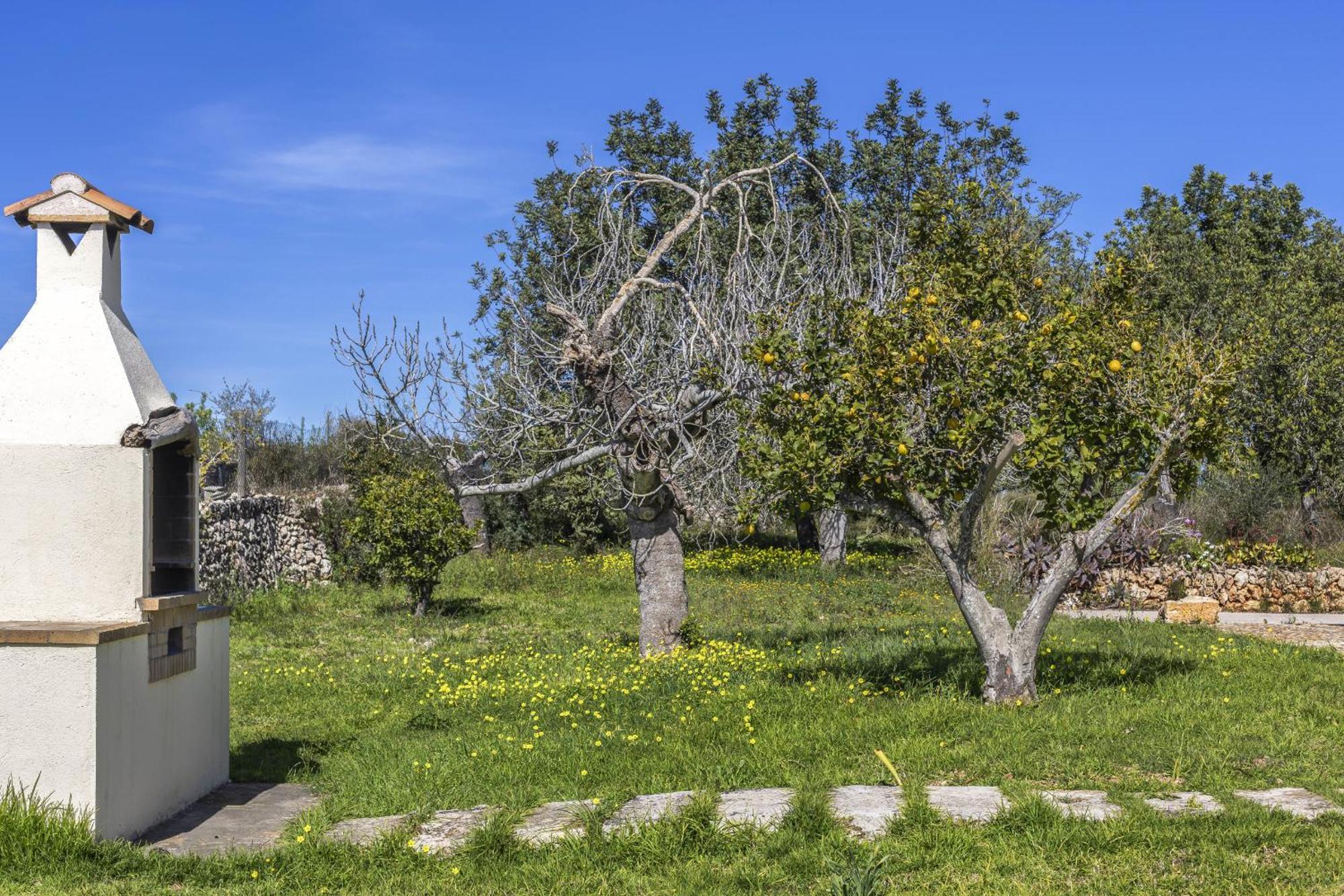 Finca Sa Torreta 圣玛加利达 外观 照片